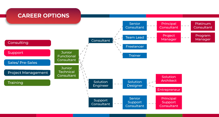 Career Chart